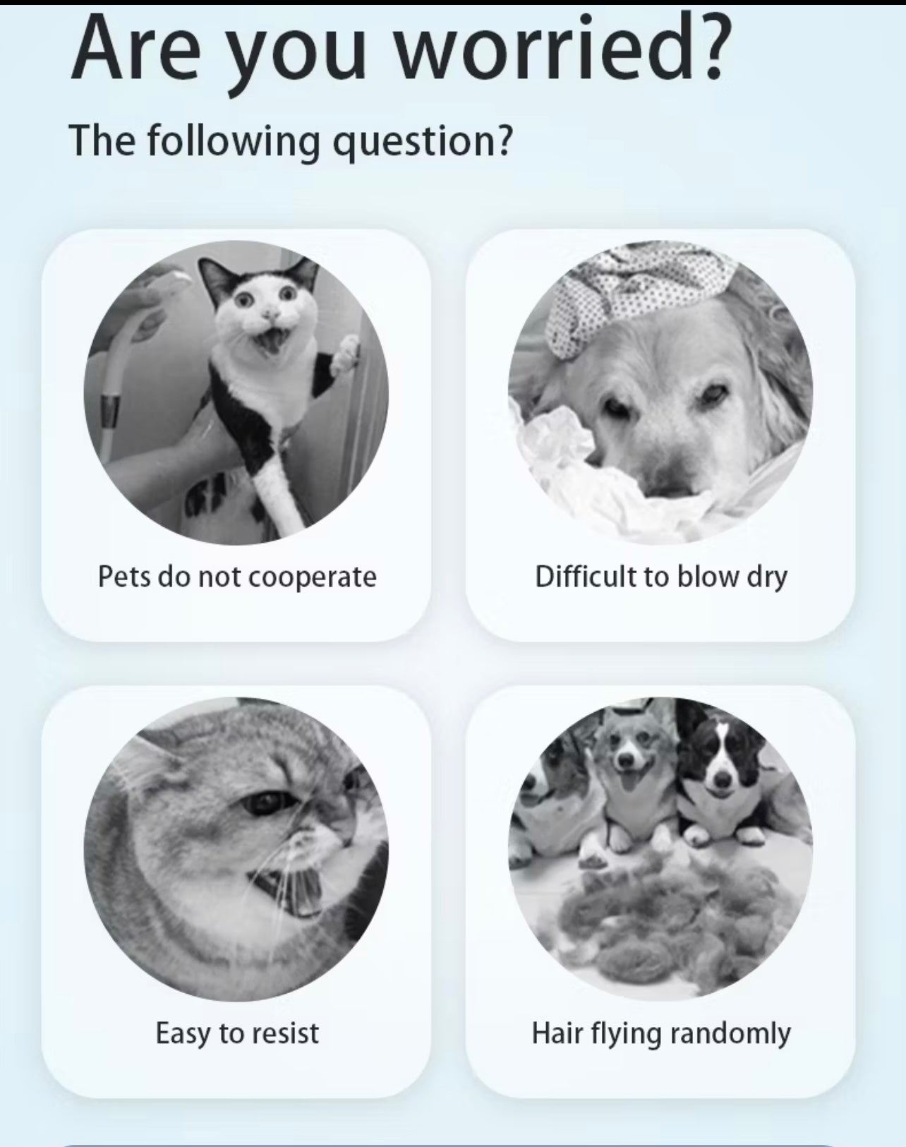 Pet Hair Dryer Box New Style Tempered Glass Door C-Type Bottom Hair Dryer