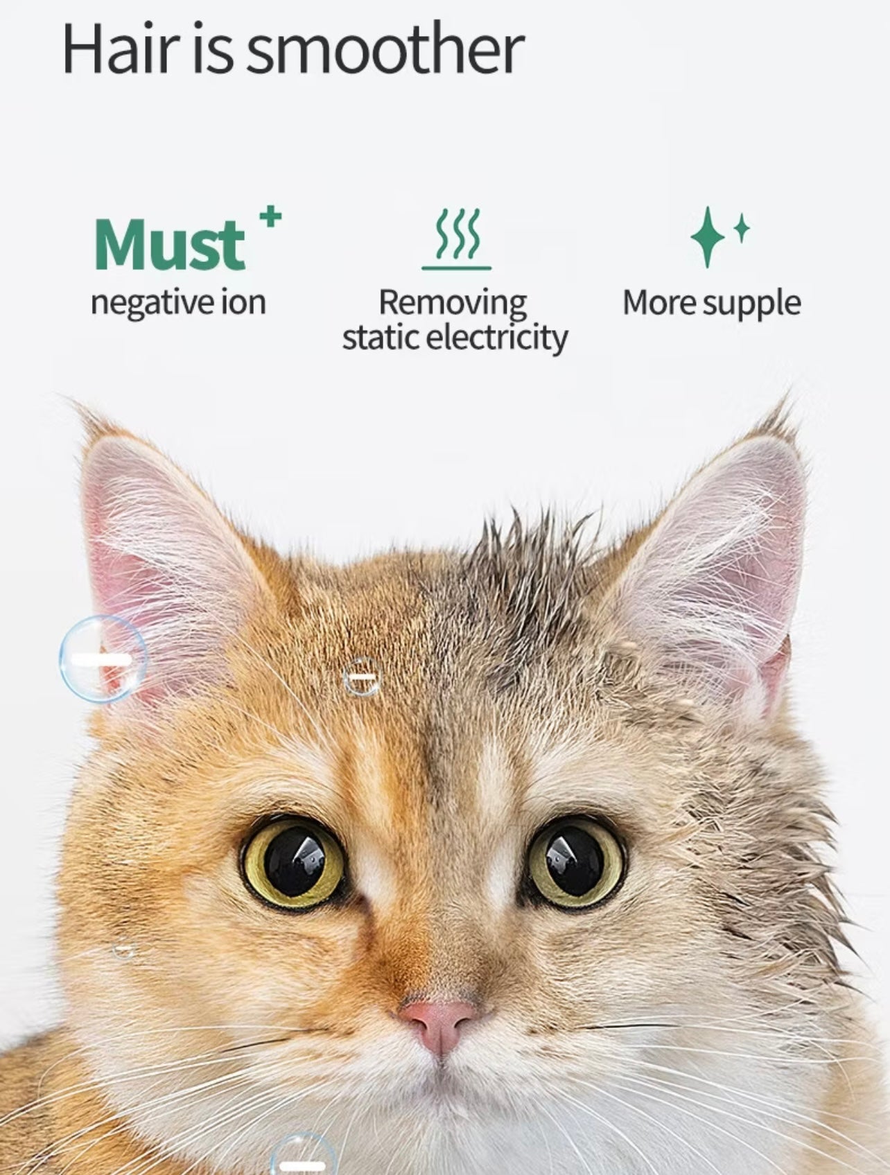 Pet Hair Dryer Box New Style Tempered Glass Door C-Type Bottom Hair Dryer